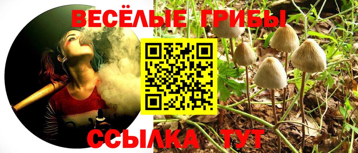 Миллерово  Галлюциногенные грибы прущие грибы  купить закладку  Псилоцибиновые грибы Psilocybine cubensis  Вход с VPN 