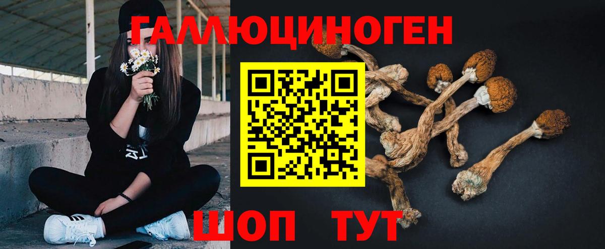 Галлюциногенные грибы мицелий Миллерово